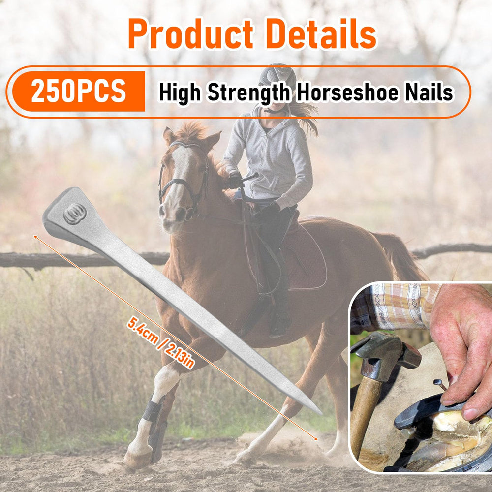 VINGVO acier inoxydable pour ferrure de chevaux, résistance durable.