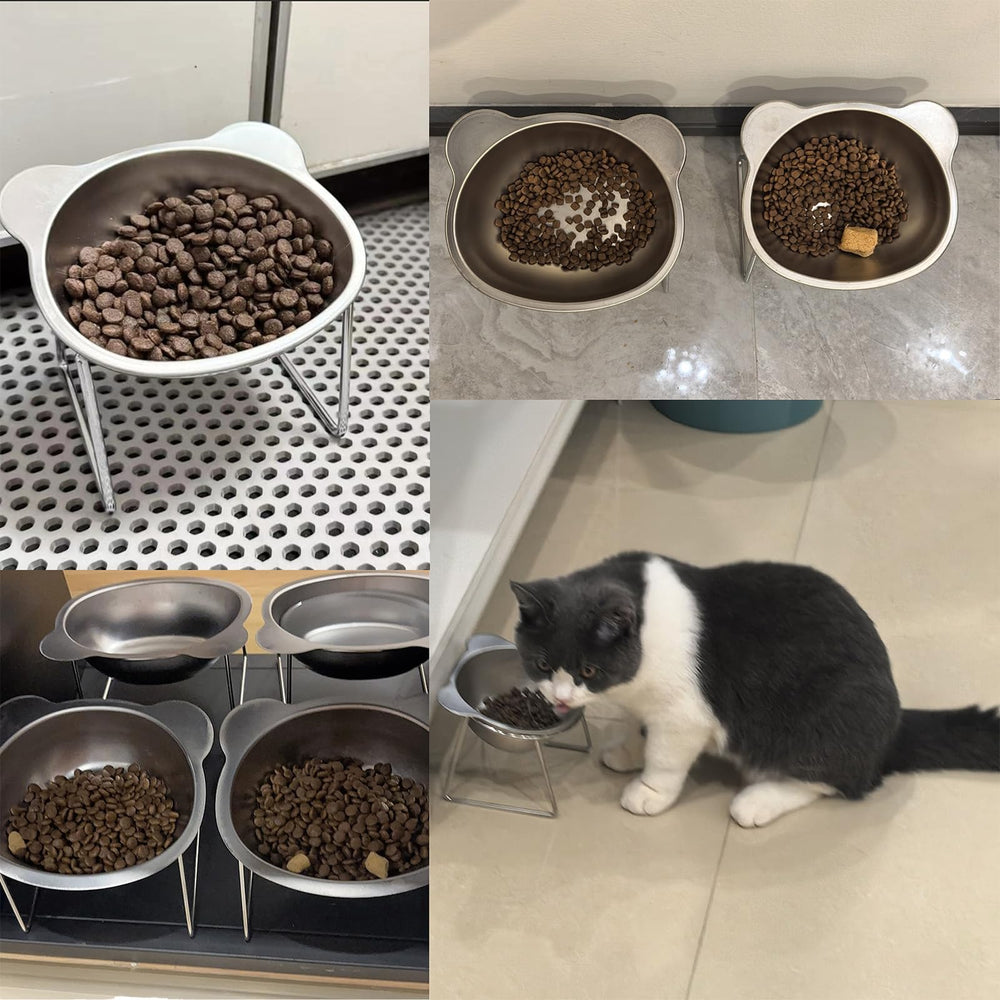 Vinqki bol-chat-anti-vomissement, incline facile.