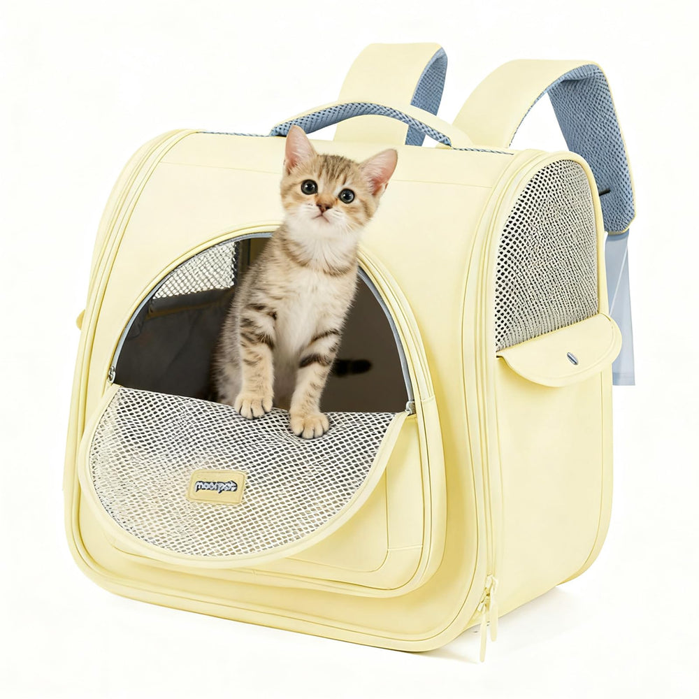 Vinqki sac à dos transport chat: espace spacieux pour le confort de votre animal.