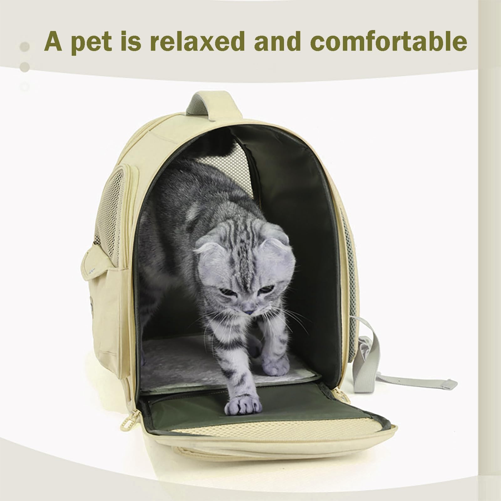 Vinqki sac à dos transport chat: ouverture frontale pour interaction sécurisée.