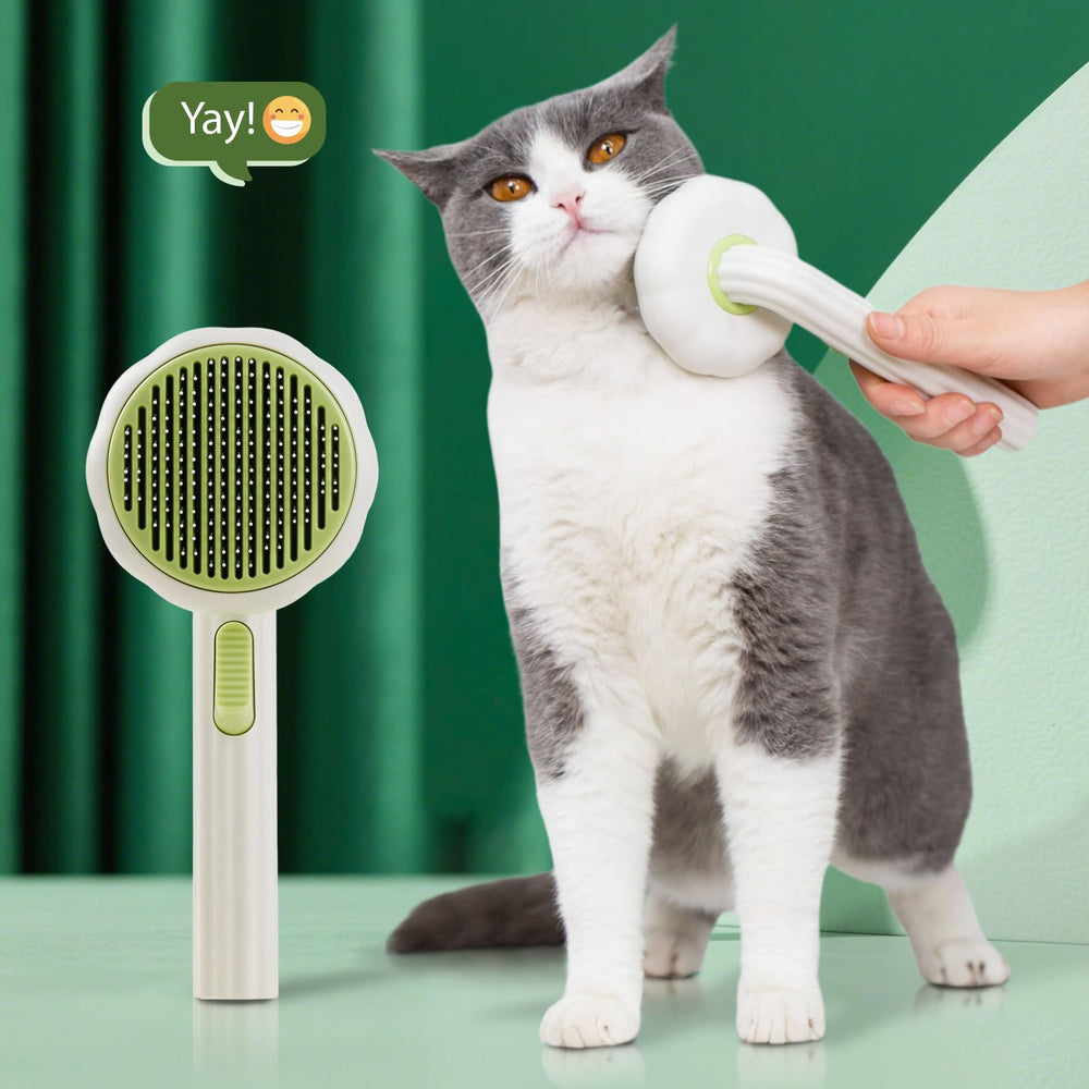 Brosse VIOJOJO Chat et Chien – nettoyage automatique pour entretien sans effort