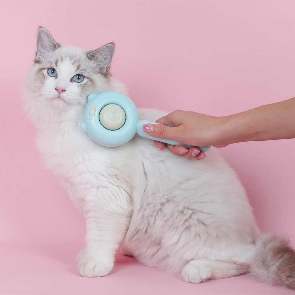 Brosse VIOJOJO pour chats à poils longs, douceur et efficacité