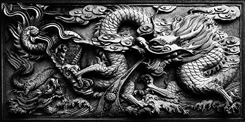 VIP.LINE Dragon Relief : poster d'arrière-plan 60x30 pour un décor naturel.
