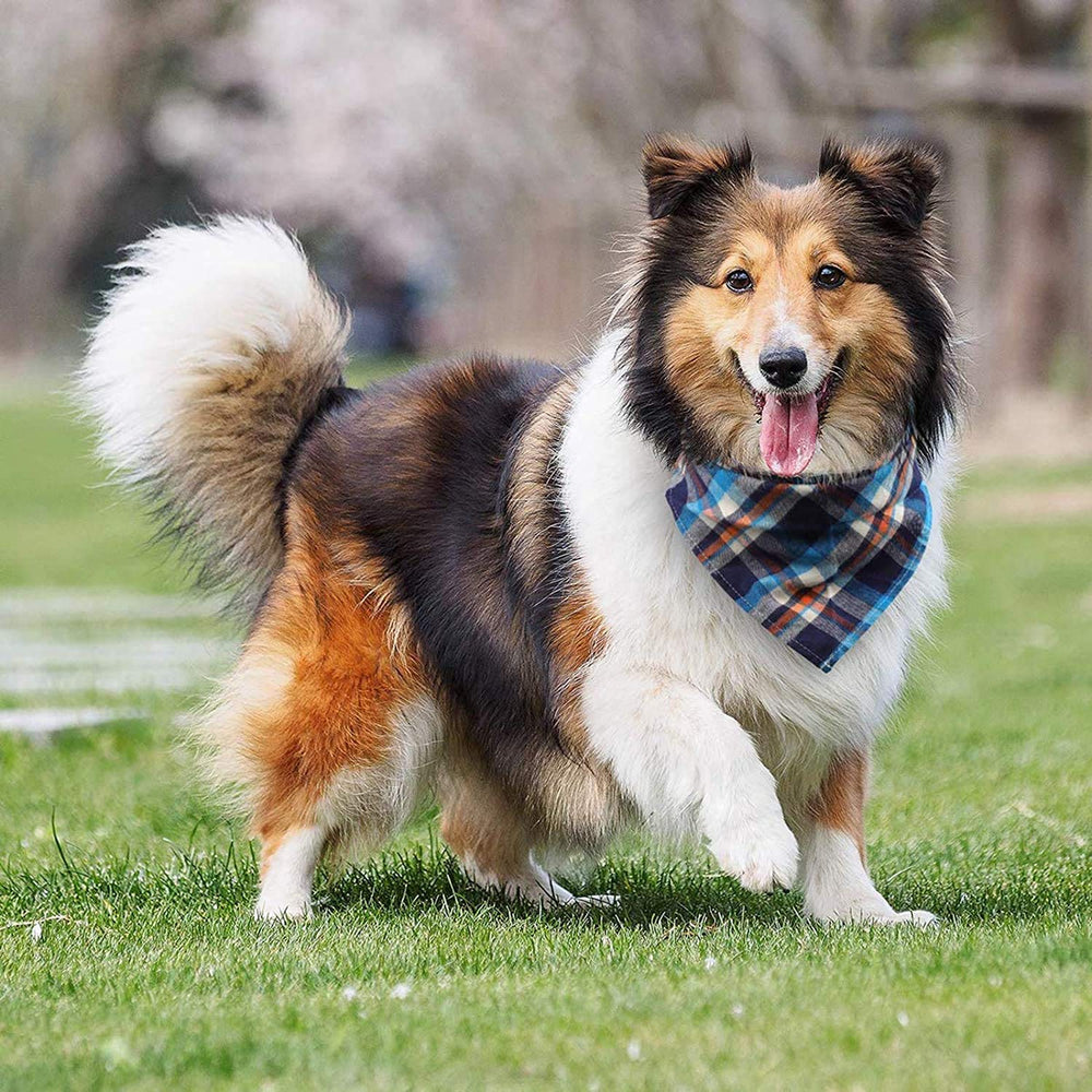 Bandana triangle VIPITH pour chien, pliable et facile à ranger.