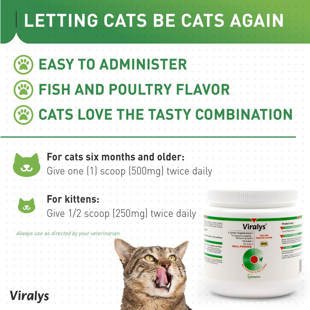 Dose quotidienne recommandée, L-Lysine pour chats et chatons.