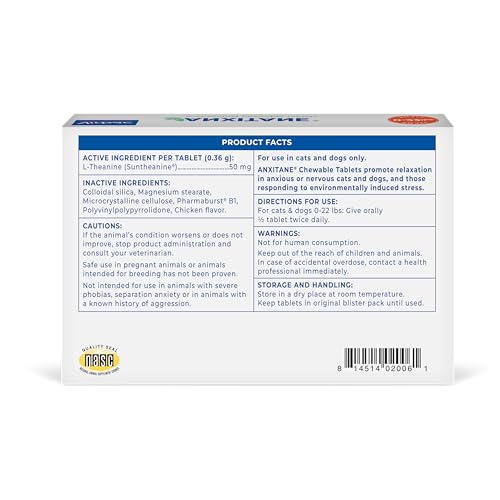 Petit chien en voyage avec ANXITANE®, potentiel soutien au calme.