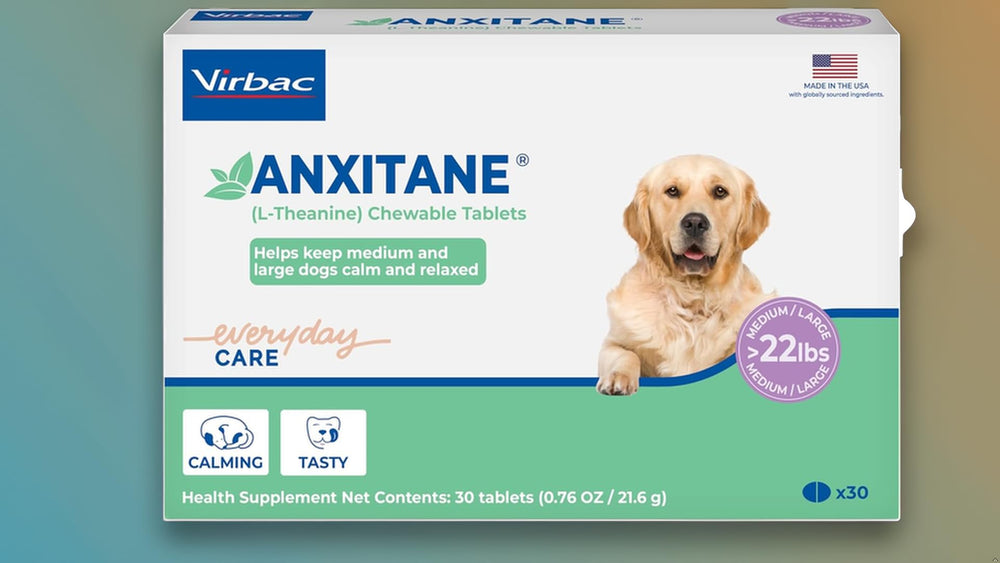 Virbac ANXITANE calme doux lors des promenades et sorties.