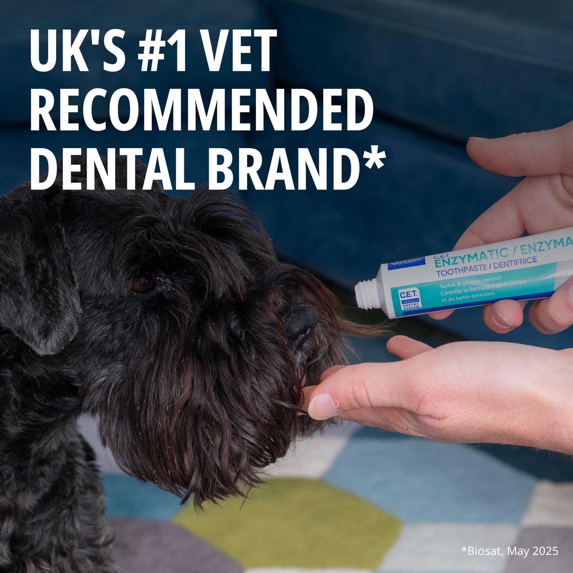 Virbac brossage chien démonstration, pratique et naturel.