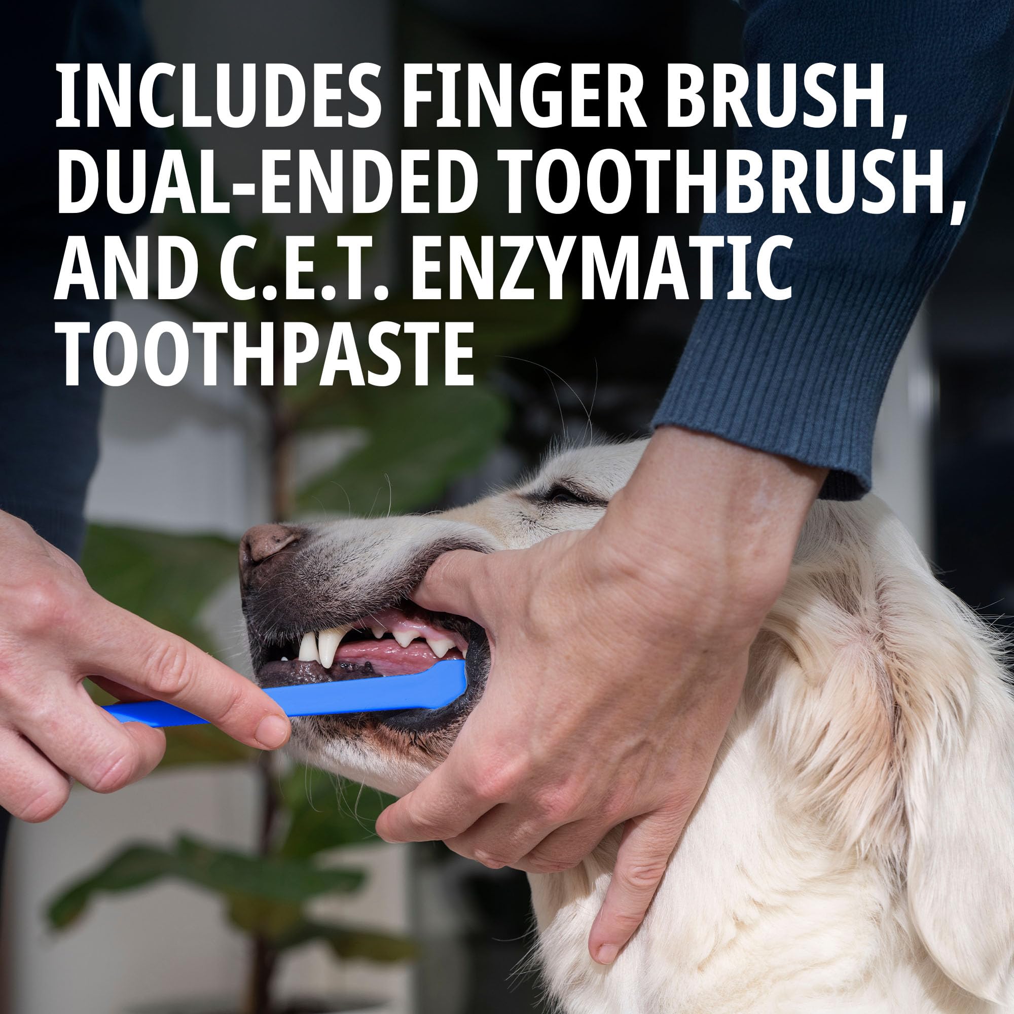 Virbac brosse dentaire double-face, pratique et douce pour les dents de votre chien.