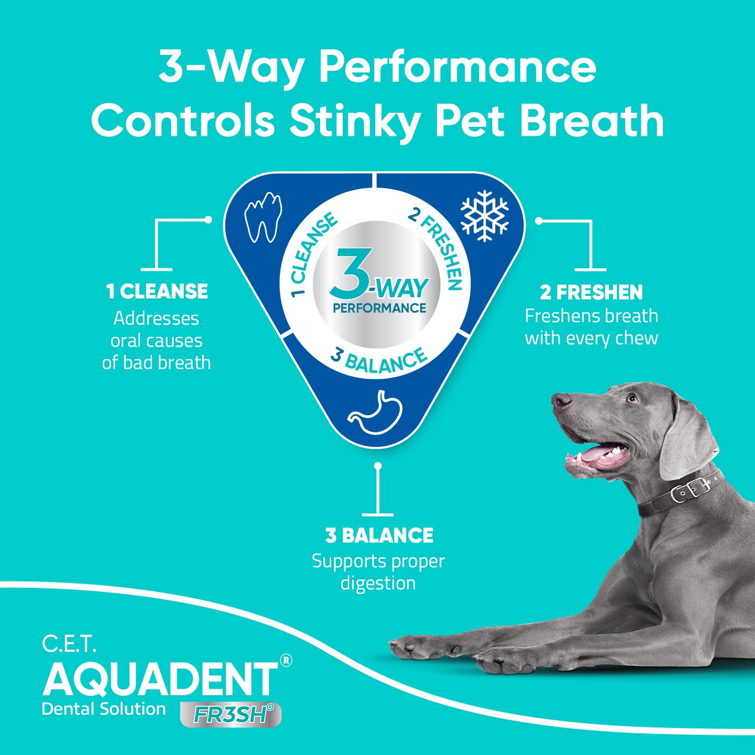 Préparation chien: mélange eau et solution pour soin quotidien.