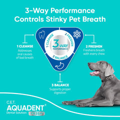 Préparation chien: mélange eau et solution pour soin quotidien.