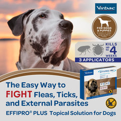 Emballage de trois doses EFFIPRO PLUS pour chien XL.
