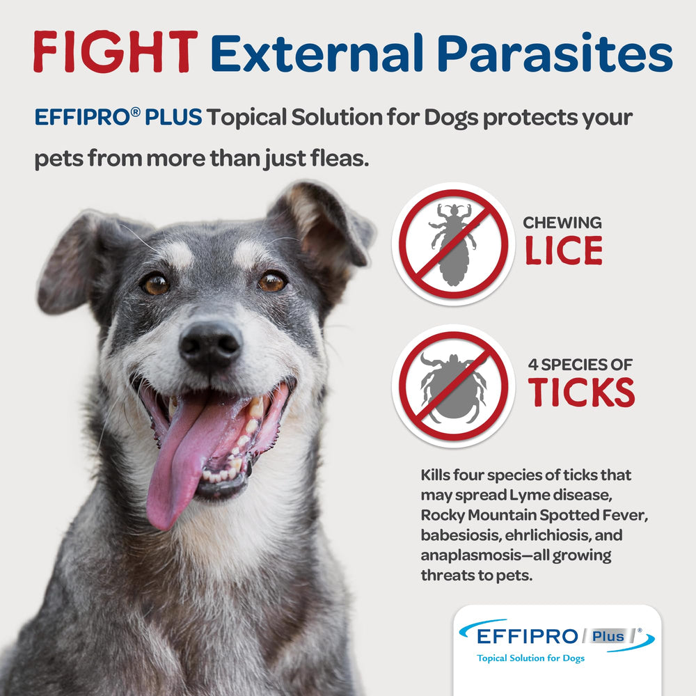 Action double d’EFFIPRO PLUS contre puces et tiques chez le chien