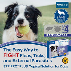 EFFIPRO PLUS lutte contre les œufs de puces chez le chien