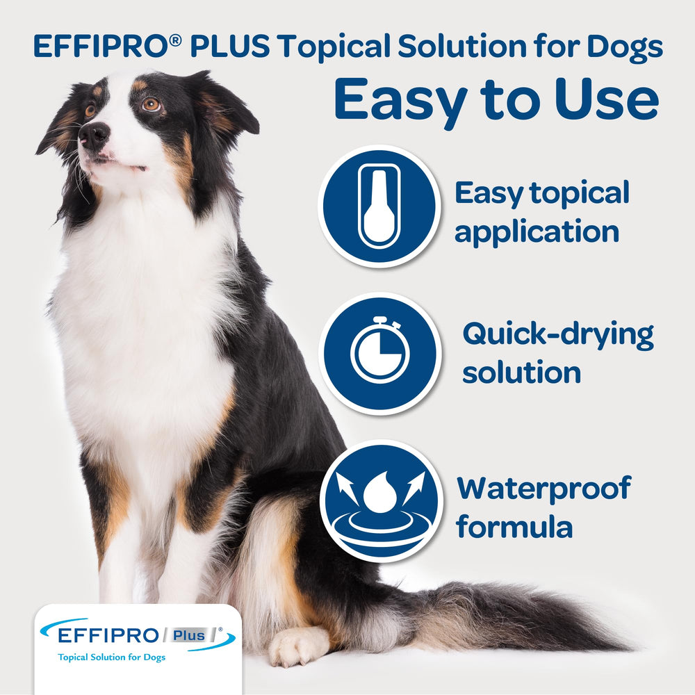 Duree de protection d’environ 4 semaines par dose avec EFFIPRO PLUS