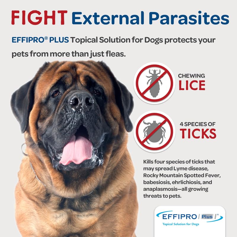 Emballage compact contenant trois doses du traitement topique Virbac.