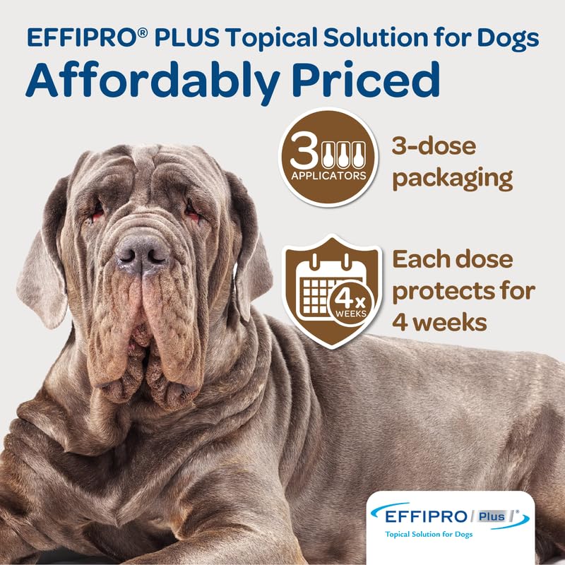 Pelage du chien après application d’EFFIPRO PLUS sans résidu gras.