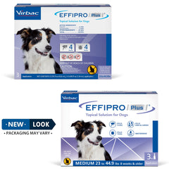 Virbac EFFIPRO PLUS protège contre puces et tiques chez le chien