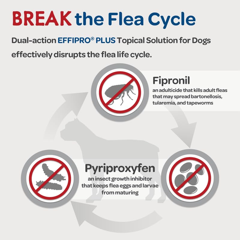 Protection contre puces et tiques avec Effipro Plus pour chien.