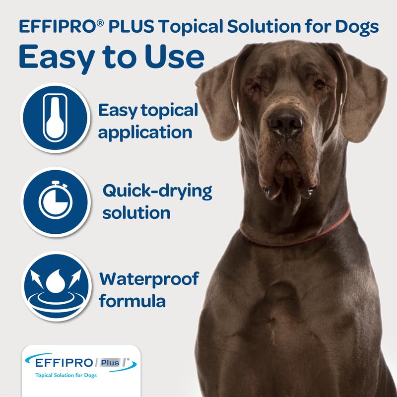 Guide d’utilisation d’EFFIPRO PLUS pour chien, instructions claires.