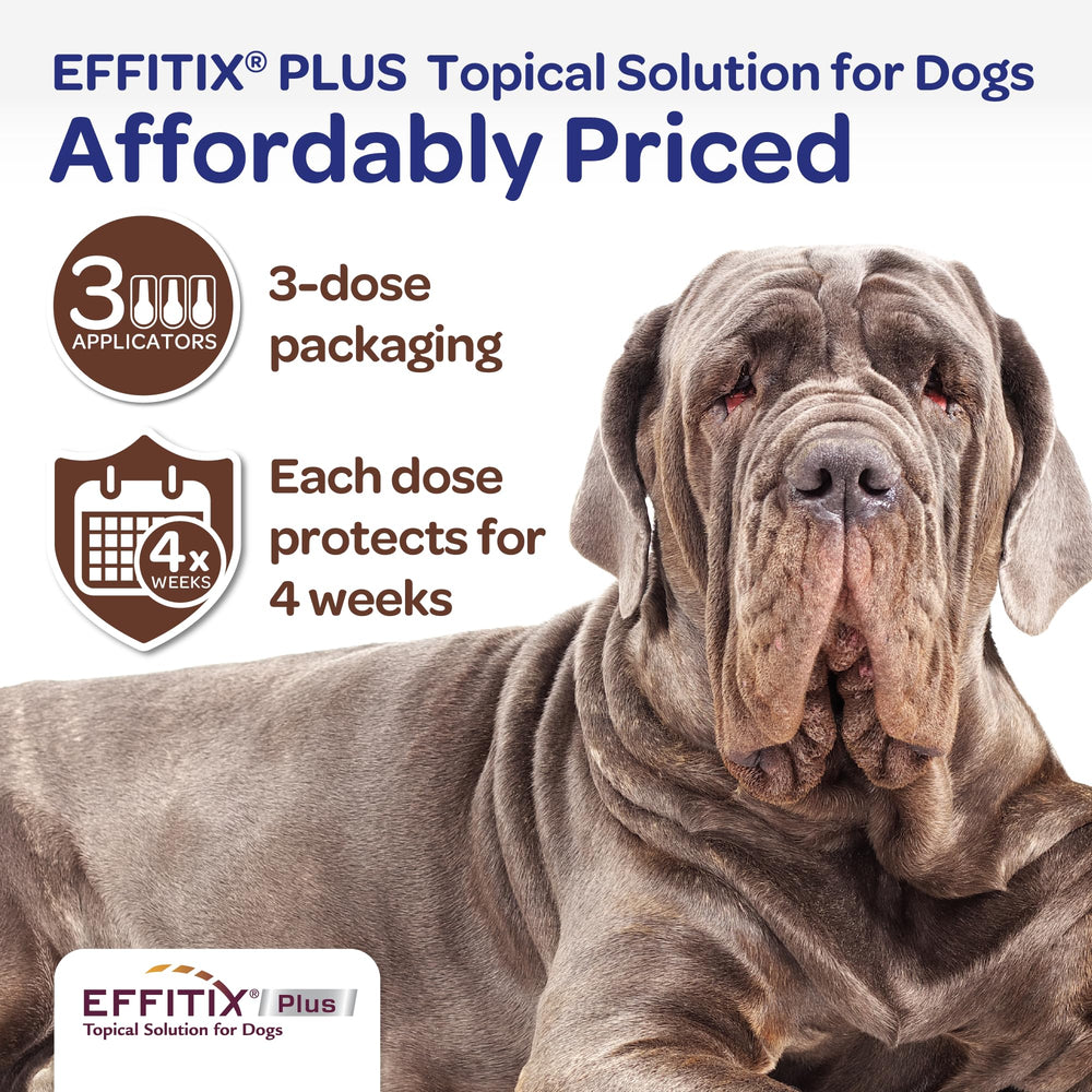 Effitix Plus convient aux chiots à partir de 8 semaines