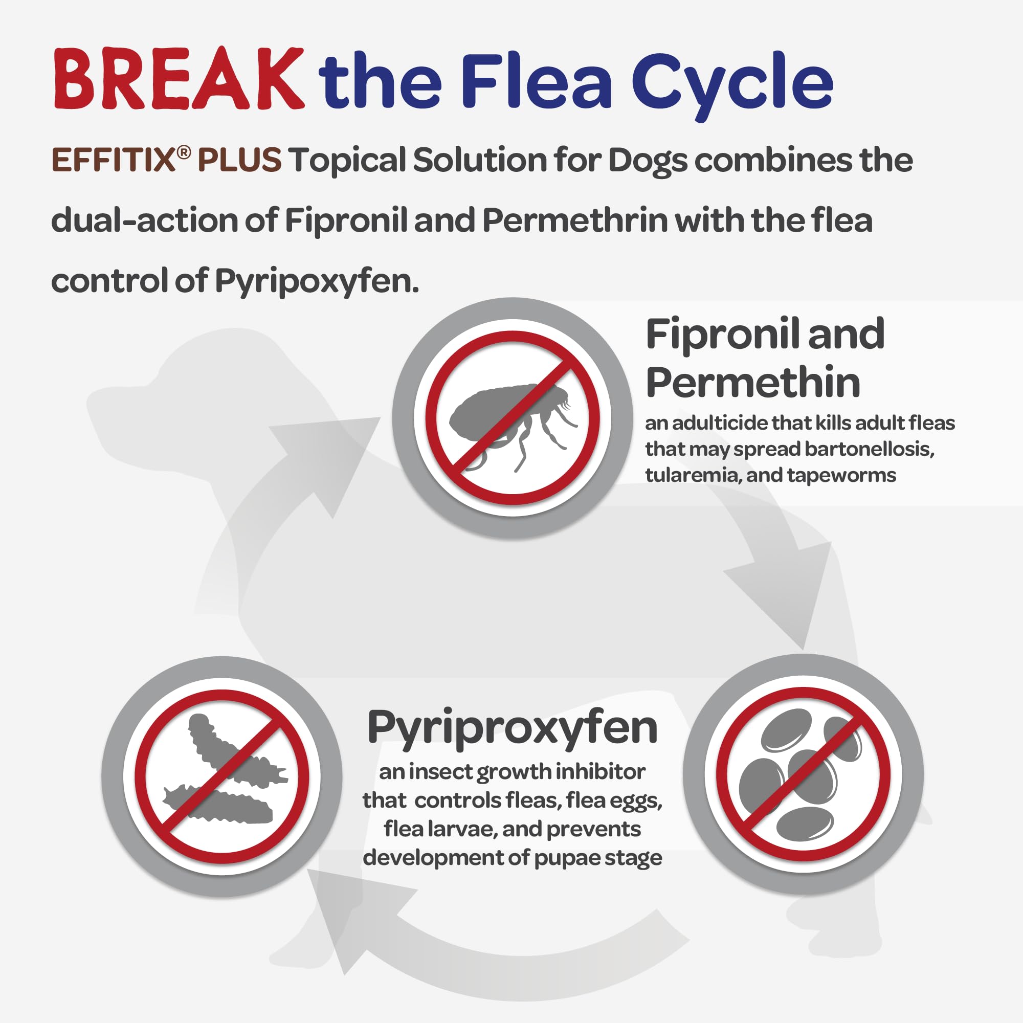 Effitix Plus repousse les mouches piquantes et protège le chien