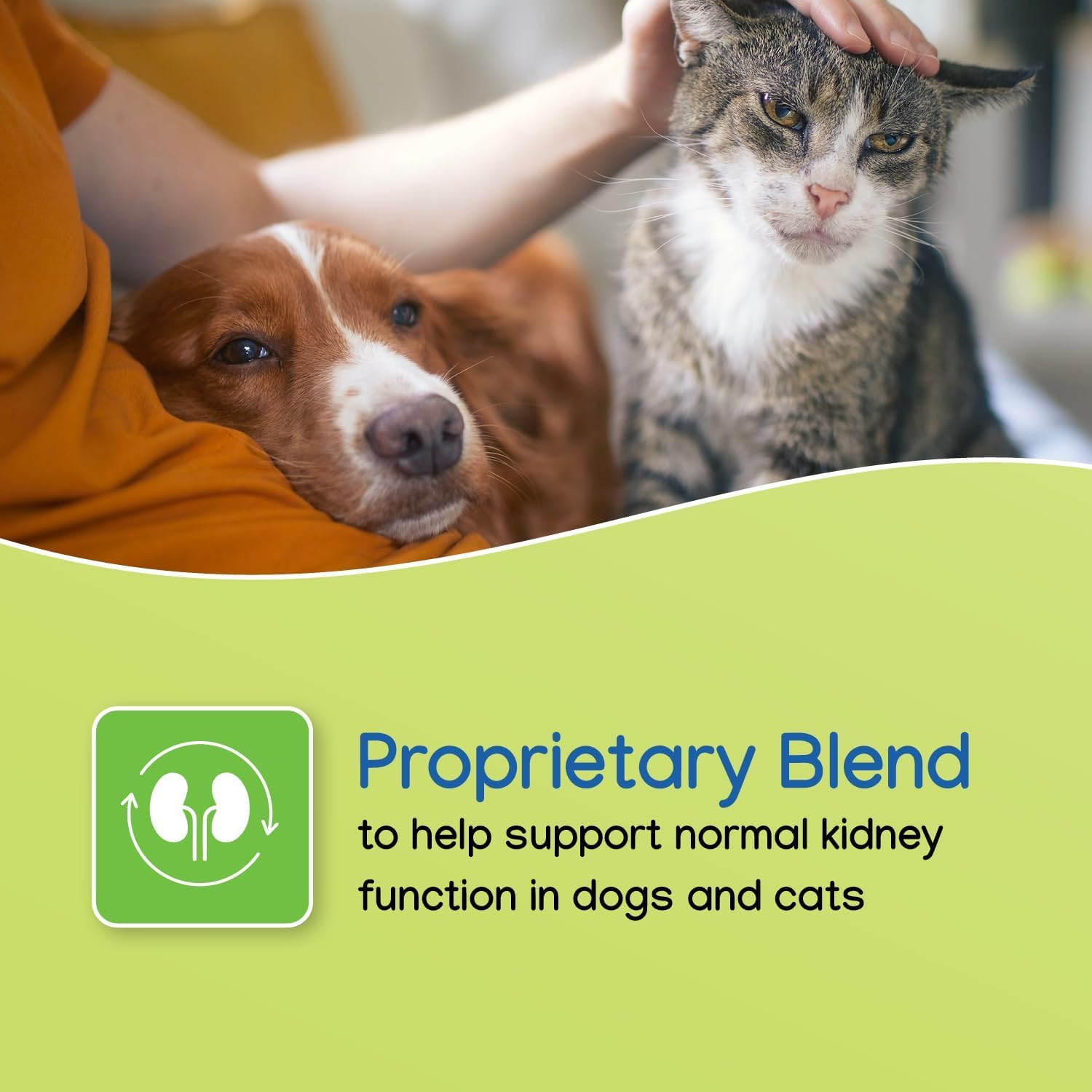 Virbac NEPHRODYL, capsules, dose quotidienne simple pour chiens et chats.