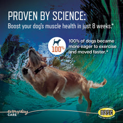 Virbac URSOLYX saveur bacon, friandises qui plaisent et facilitent l’activité quotidienne.