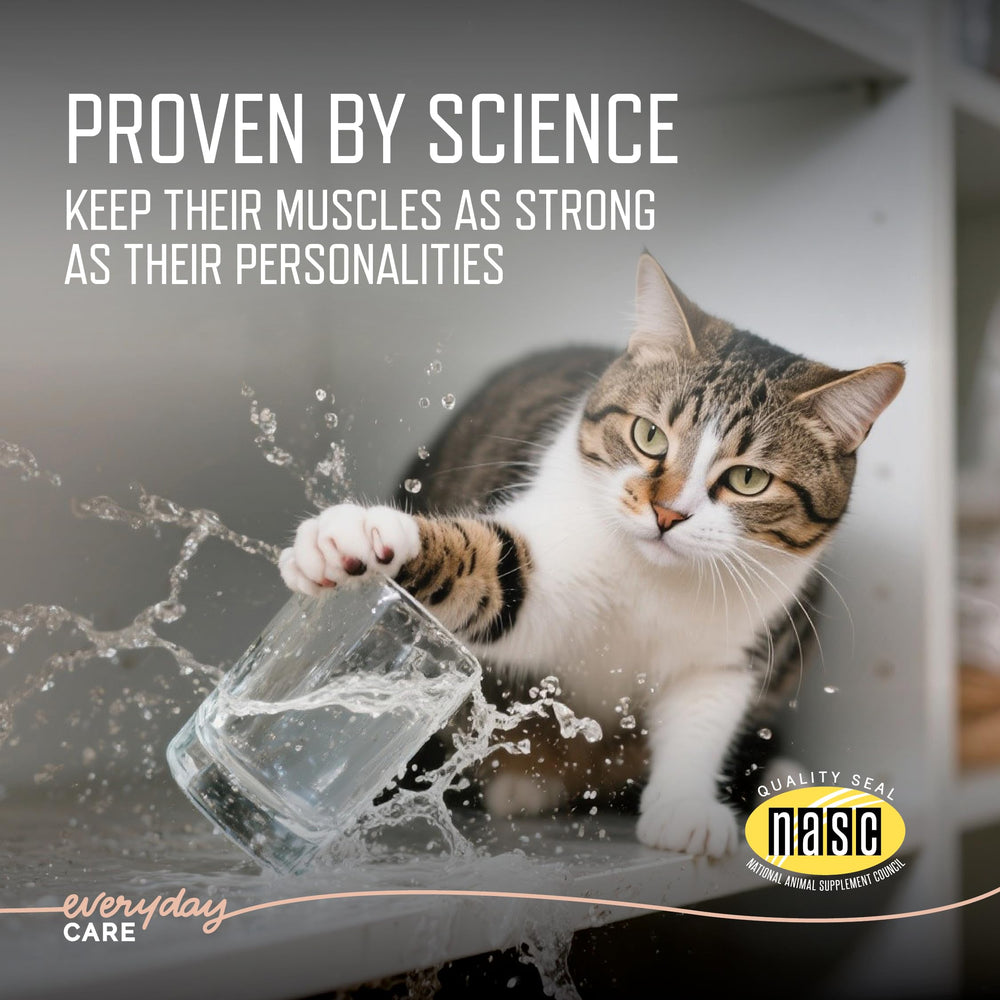 Virbac URSOLYX texture friandise bacon, appétence élevée pour chats.