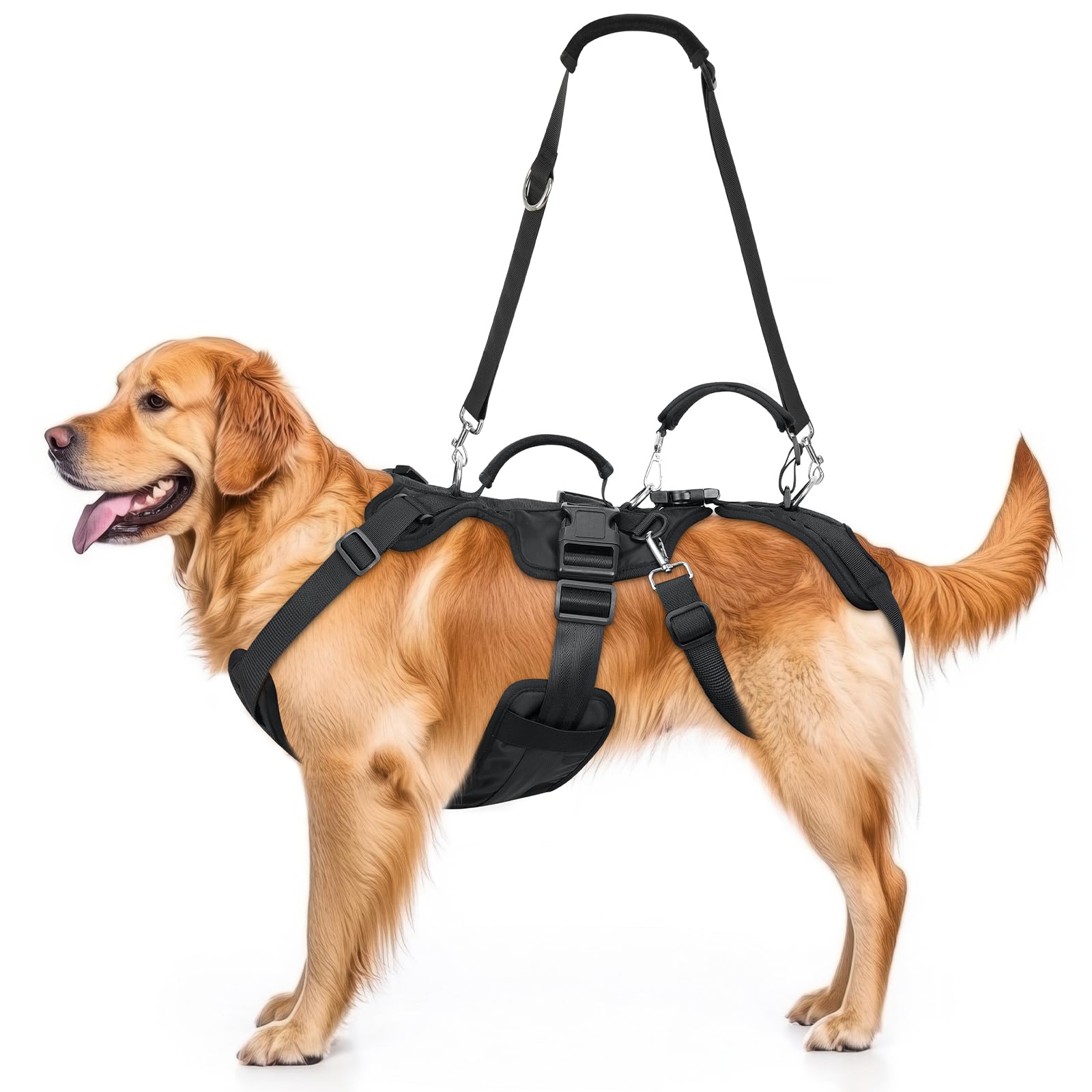 Harnais Visinite pour aide à la mobilité chien, vue avant, soutien optimal