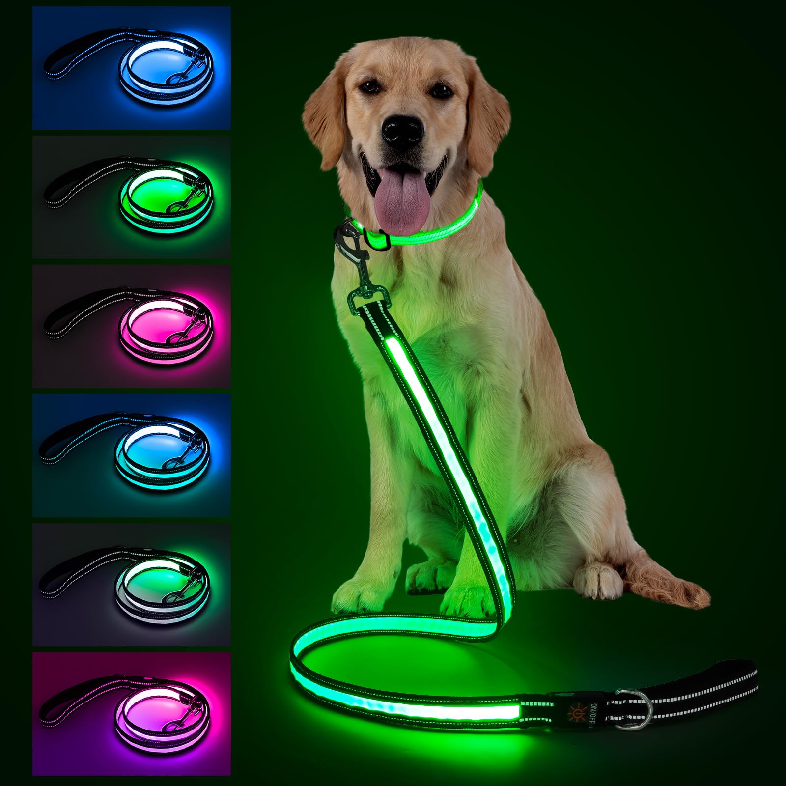 Laisse Visinite LED 4 pieds avec mode 7 pour une visibilité nocturne.