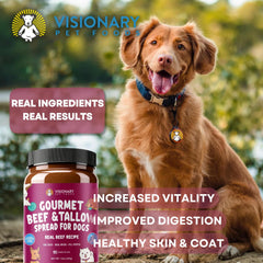 Application sur tapis de léchage avec Visionary Pet Foods Beef Meat Spread.