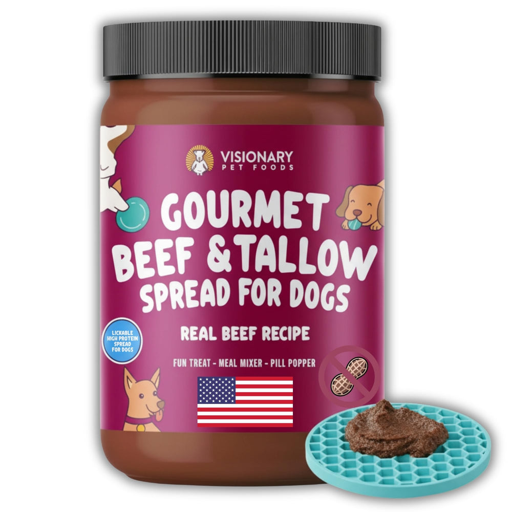Visionary Pet Foods Beef Meat Spread dans le bocal, apport protéique pour chien.