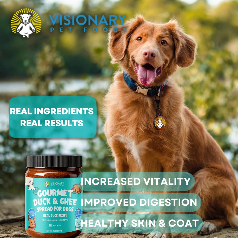 Visionary Pet Foods Pâte de Canard: chien dégustant la pâte en bouchée délicieuse.