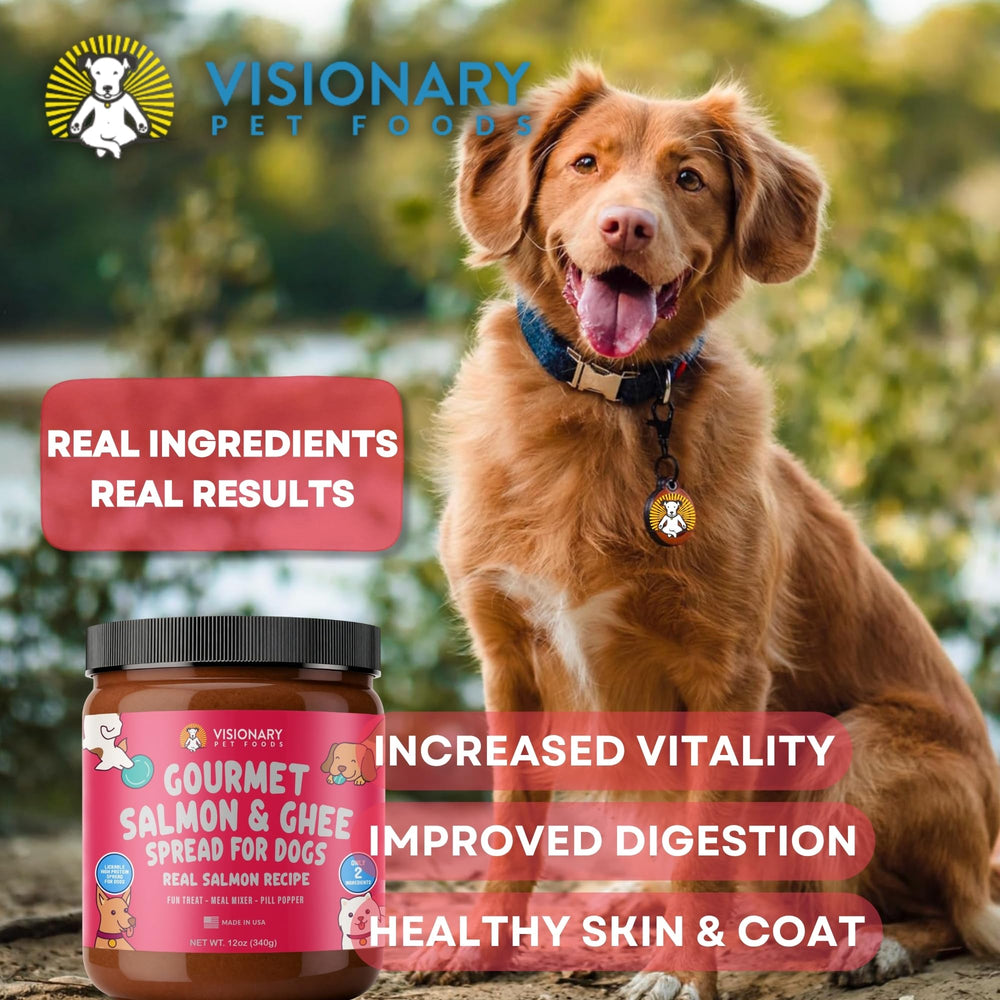 Visionary Pet Foods Pâte Saumon mélangeur: parfait ajout alimentaire sur les croquettes.