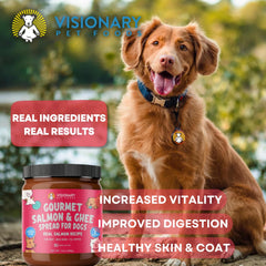 Visionary Pet Foods Pâte Saumon mélangeur: parfait ajout alimentaire sur les croquettes.