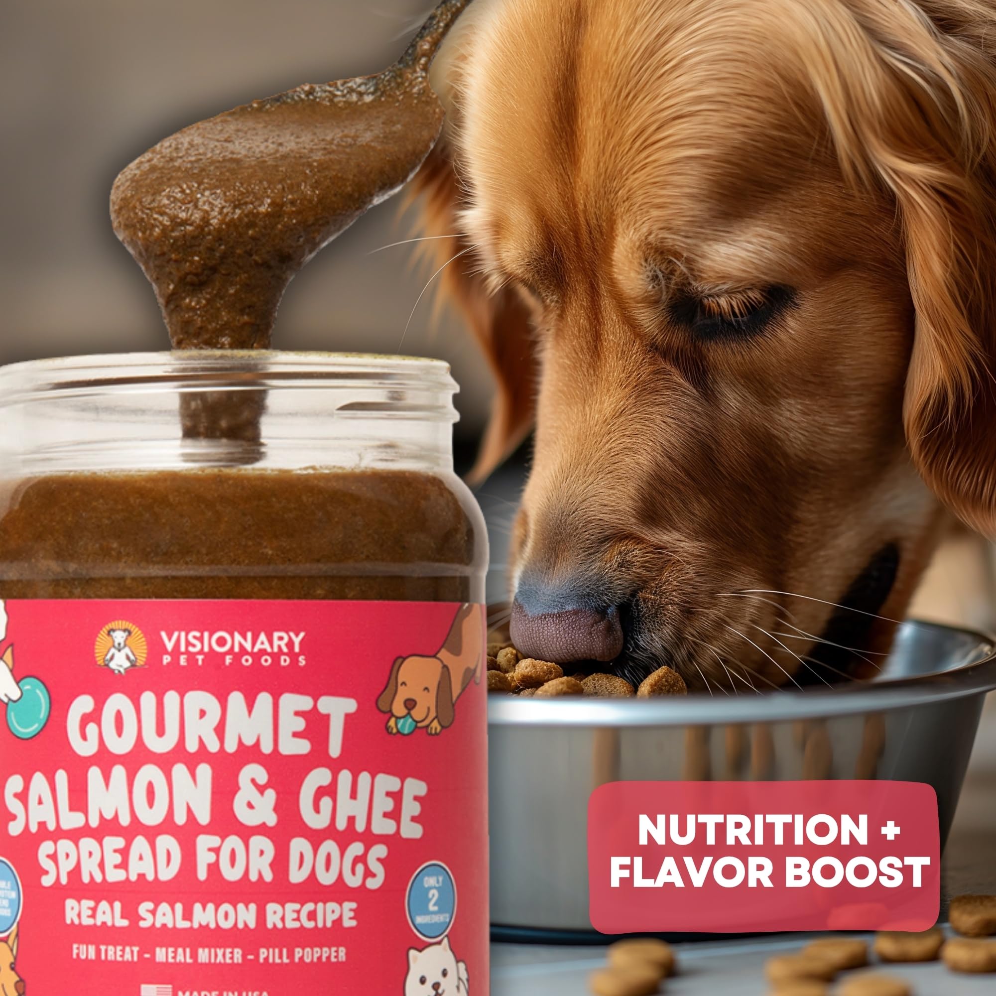Visionary Pet Foods Pâte Saumon pour chiots et chiens adultes: adaptée à toutes tailles.