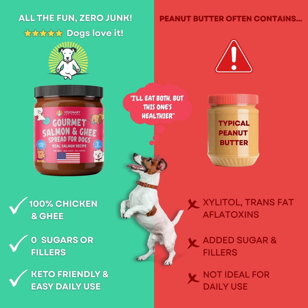Visionary Pet Foods Pâte Saumon sans sucre: option sans glucides pour chiens.