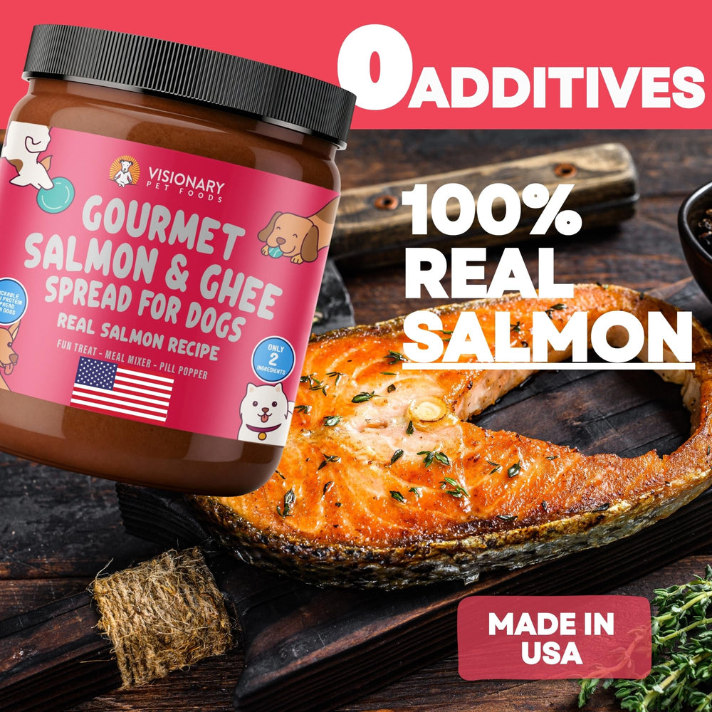 Visionary Pet Foods Pâte Saumon sans xylitol: friandise sûre et sans additifs.