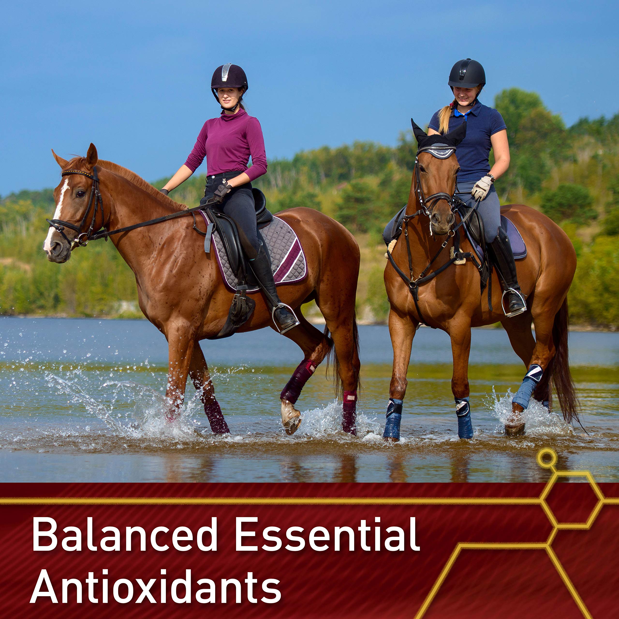 Vita Flex Pro E & Selenium: soutien du système immunitaire des chevaux actifs.