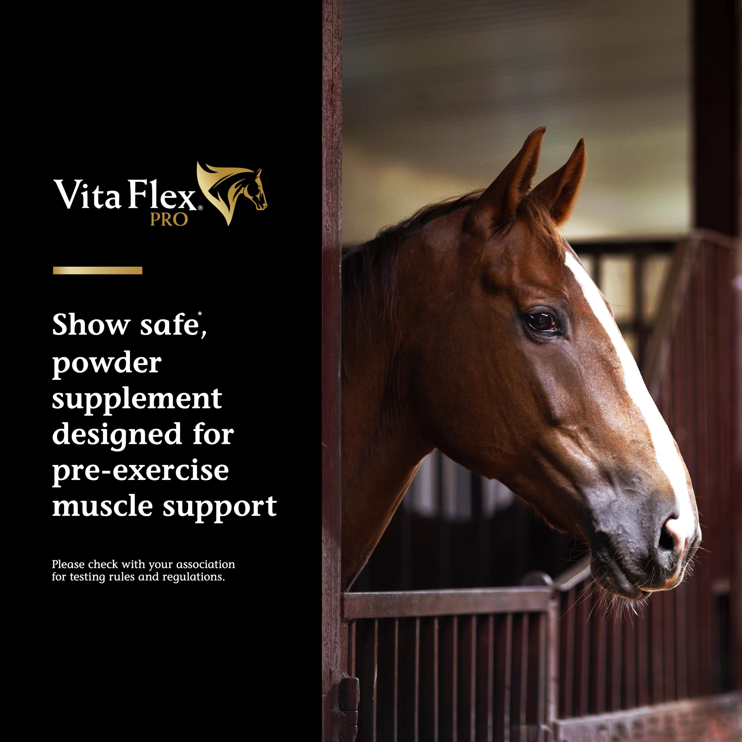 Vita Flex Pro Lactanase – énergie musculaire avant entraînement et endurance.