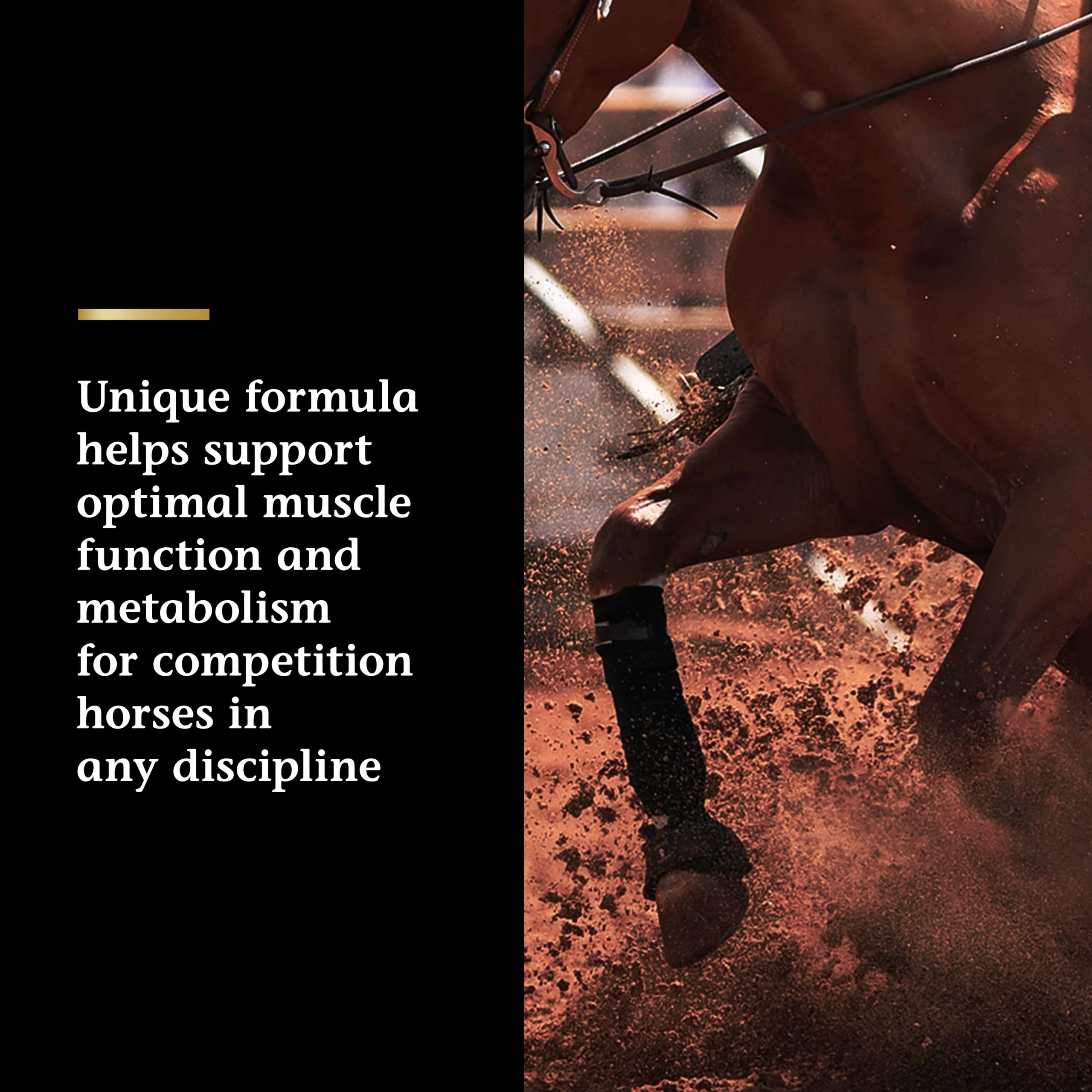 Vita Flex Pro Lactanase – oxydation musculaire optimisée pendant l’effort.