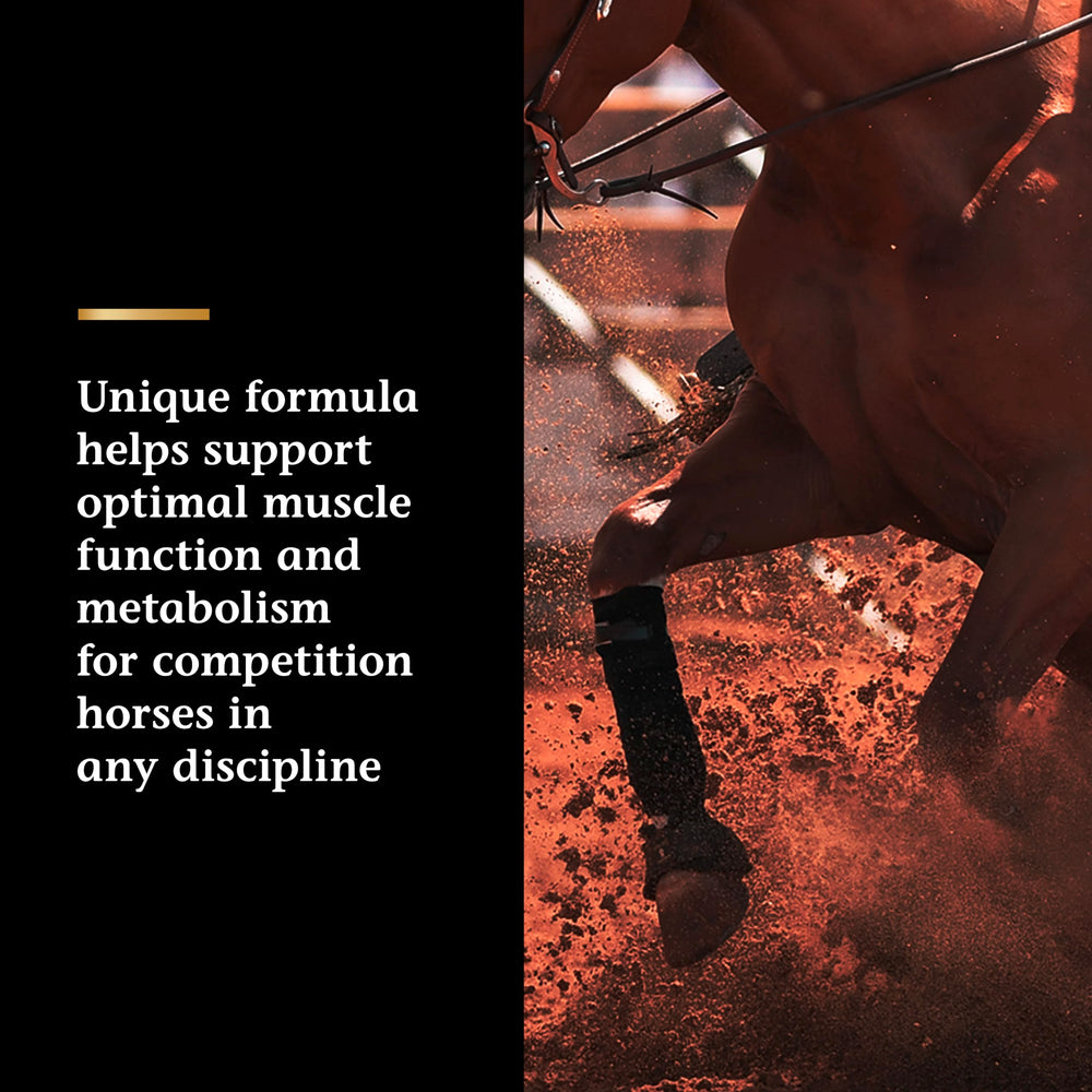 Vita Flex Pro Lactanase – oxydation musculaire optimisée pendant l’effort.
