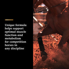 Vita Flex Pro Lactanase – oxydation musculaire optimisée pendant l’effort.