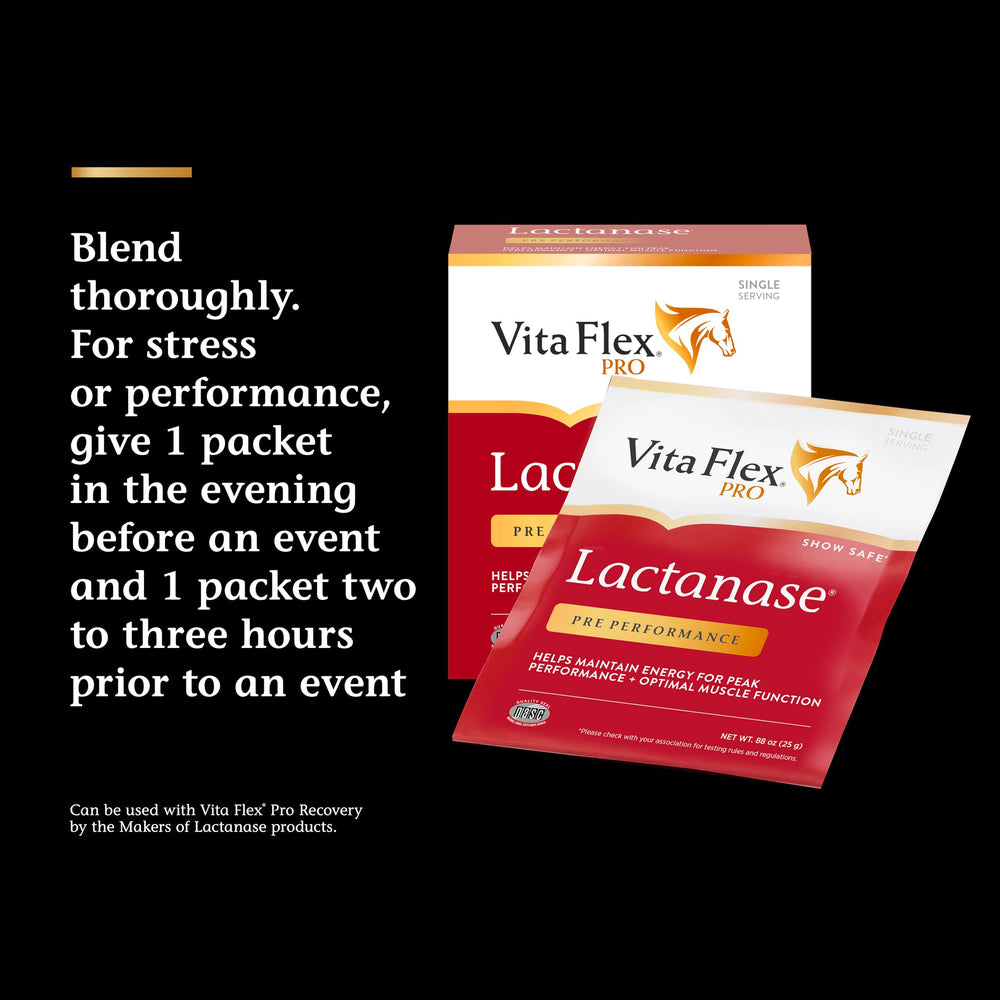 Vita Flex Pro Lactanase – portion pré-entraînement simple à utiliser.