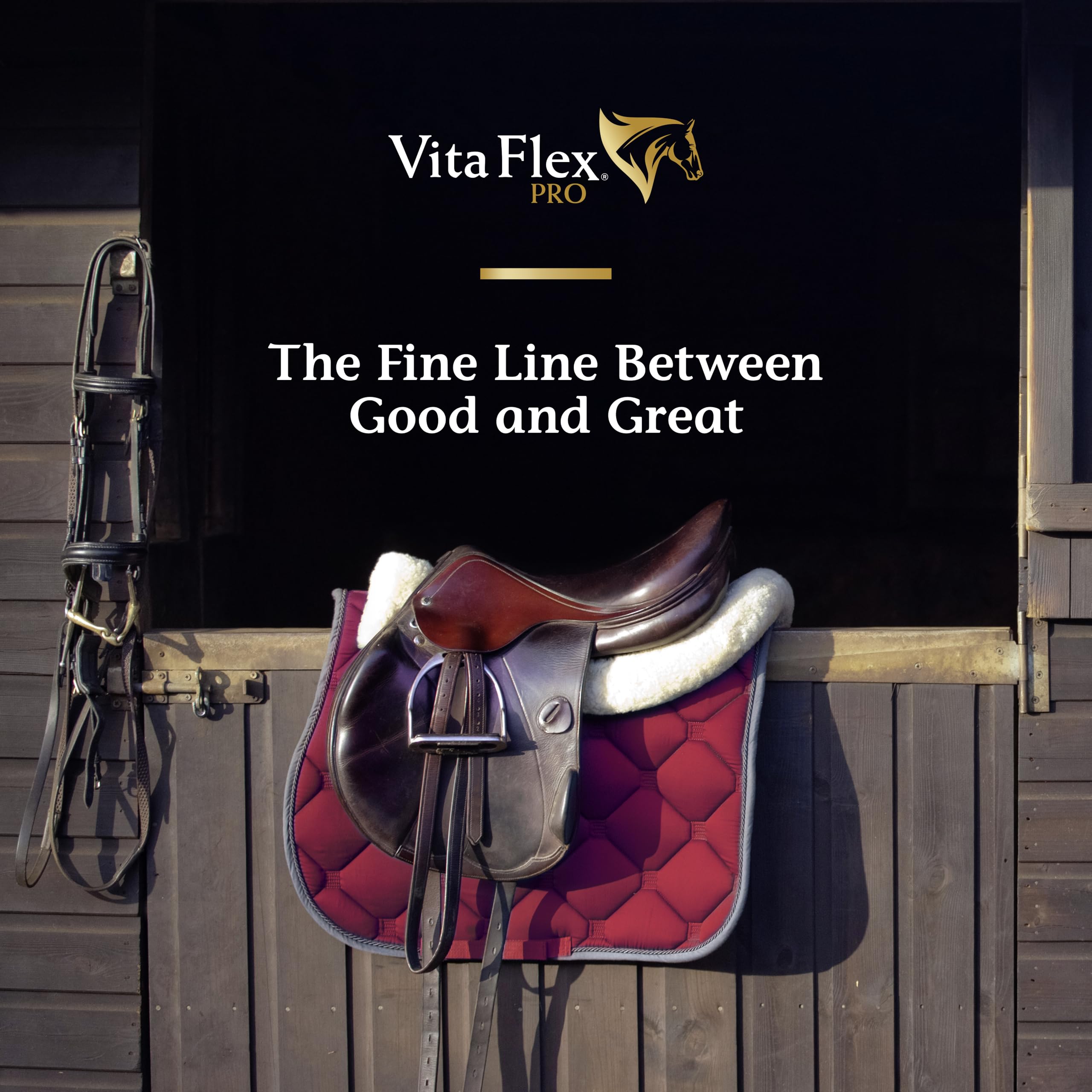 Vita Flex Pro Lactanase – récupération et synergie musculaire.