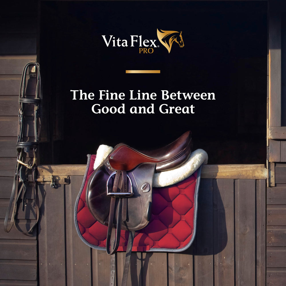 Vita Flex Pro Lactanase – récupération et synergie musculaire.
