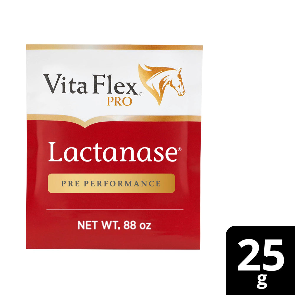 Vita Flex Pro Lactanase – soutien musculaire pré-performance pour cavalier et monture.