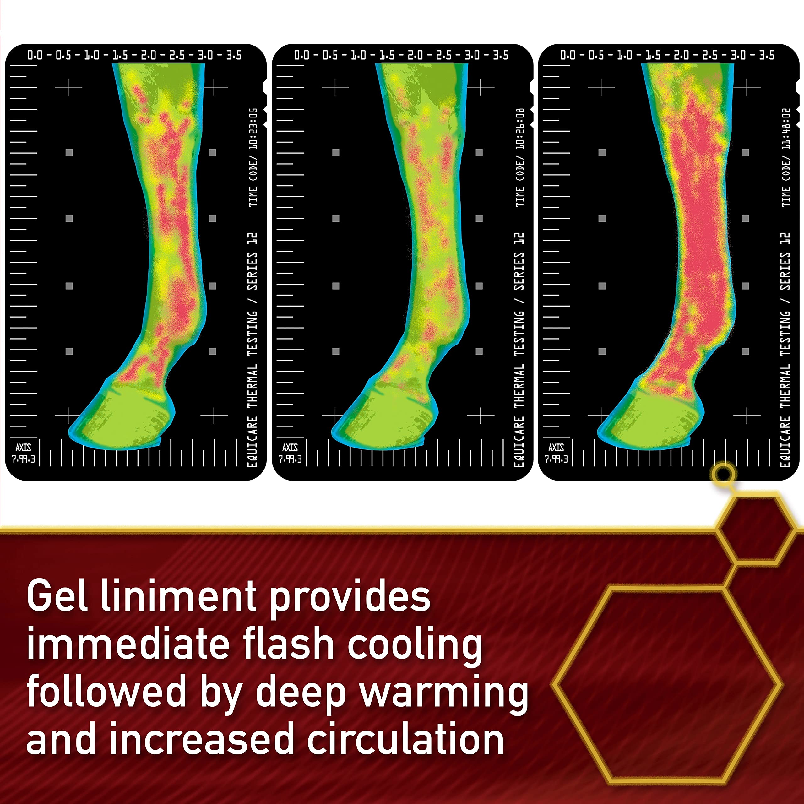 Vita Flex Thermaflex Gel – surface musculaire du cheval, absorption rapide sans acétone.
