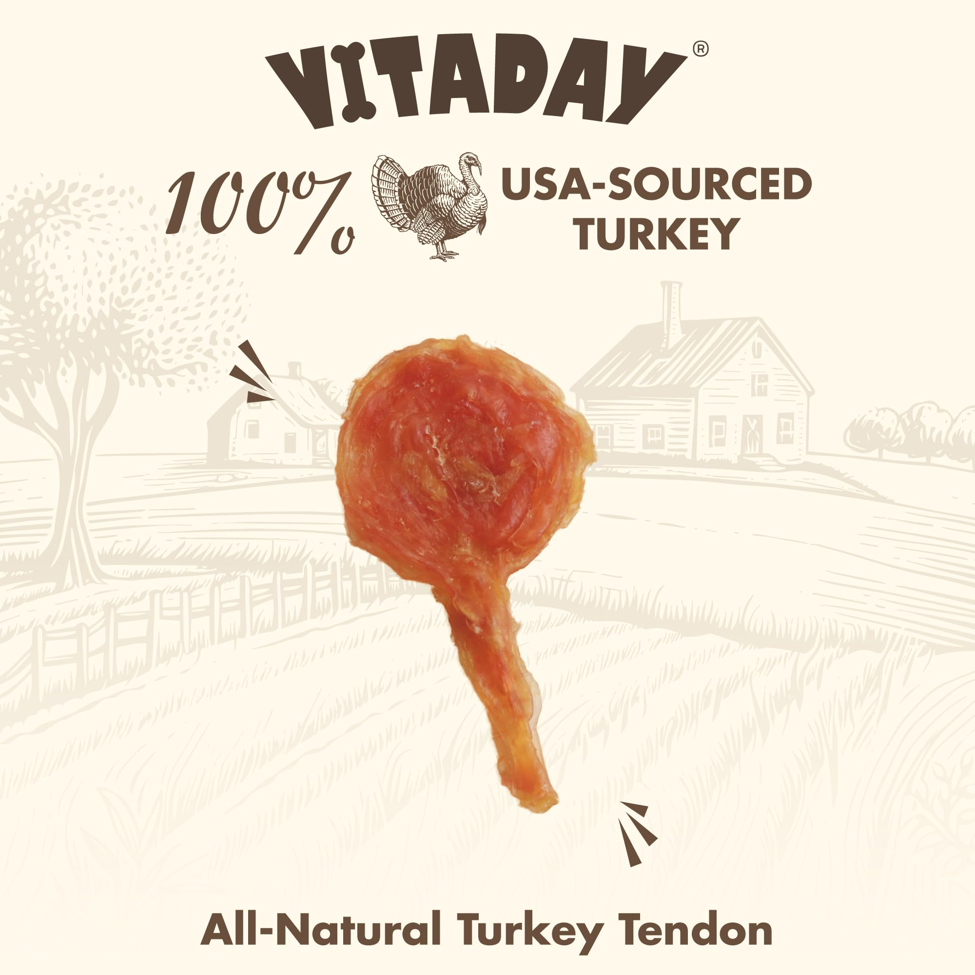 Vitaday Tendons dinde: chien en action, plaisir durable.